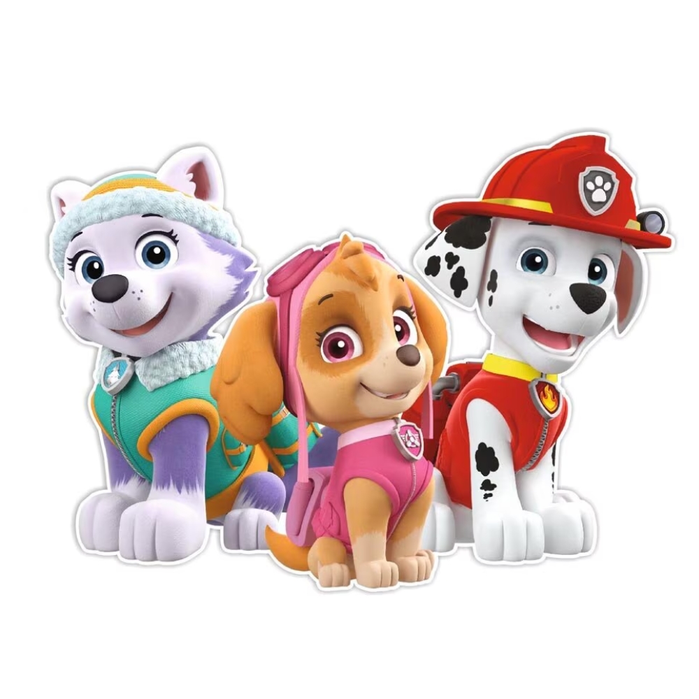 Paw Patrol 