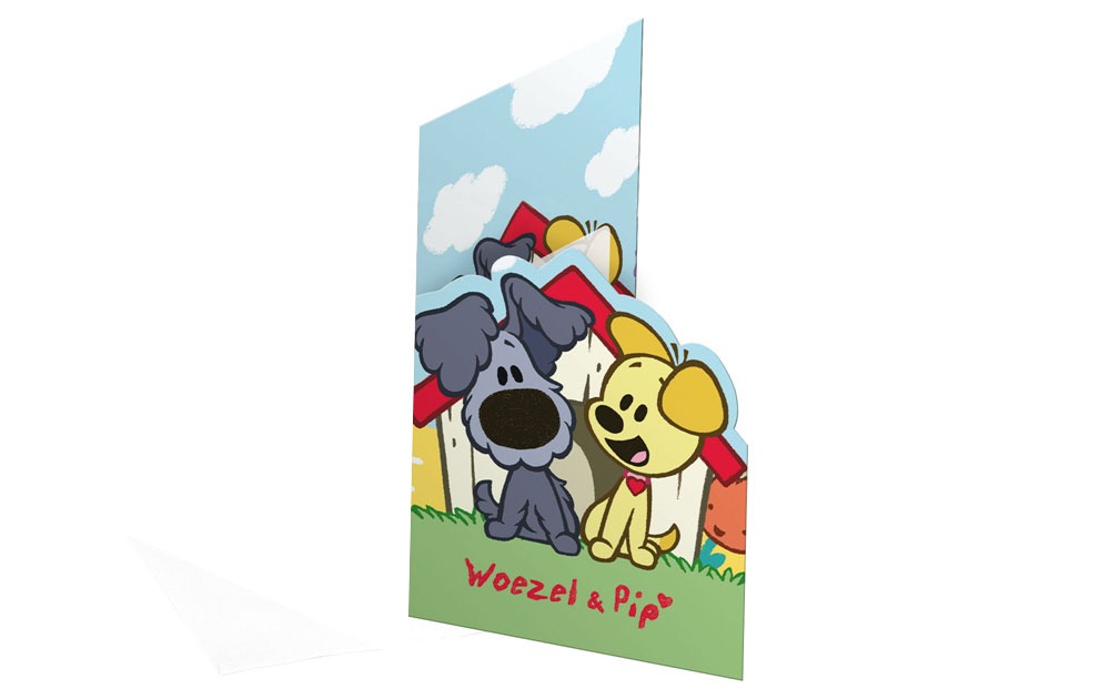 Uitnodiging Woezel en Pip (8st) afbeelding