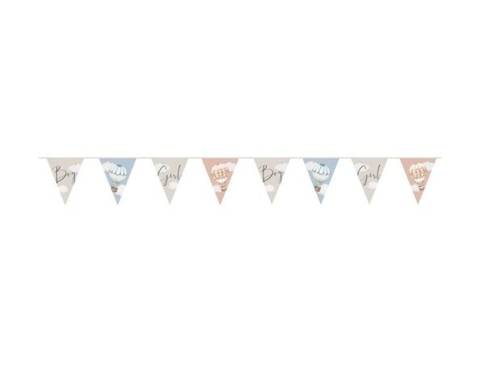 Vlaggenlijn Baby Balloons Gender Reveal - 6m afbeelding