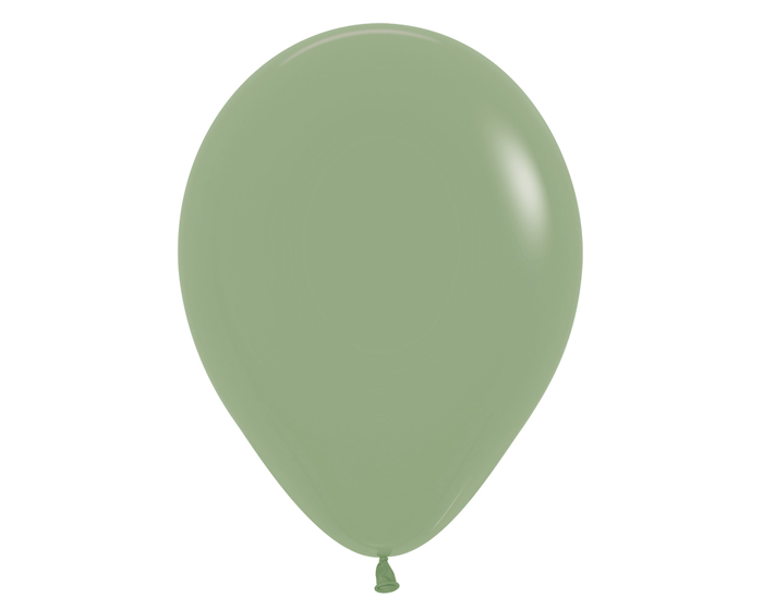 Ballonnen Eucalyptus Groen (12st) afbeelding