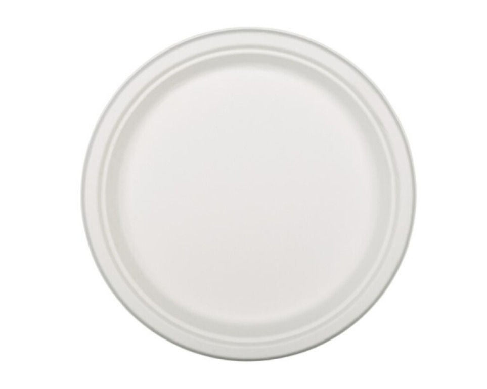 Suikerriet Borden XL - 26cm - 20 stuks afbeelding