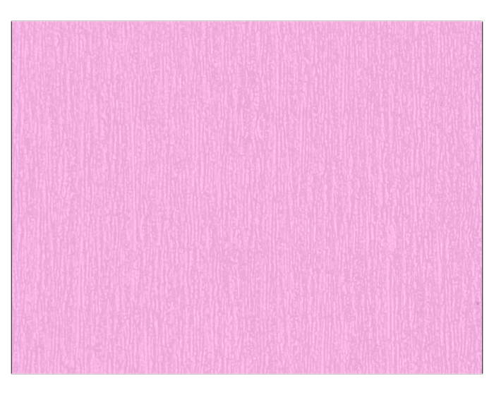 Crêpepapier Lila - 50x250cm afbeelding