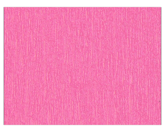 Crêpepapier Neon Roze - 50x250cm afbeelding