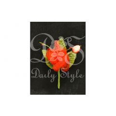 Corsage 'Natural' Rood