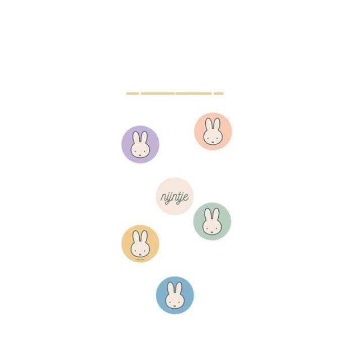 Hangdeco Nijntje Pastel - 65x23cm | Perfecte decoratie