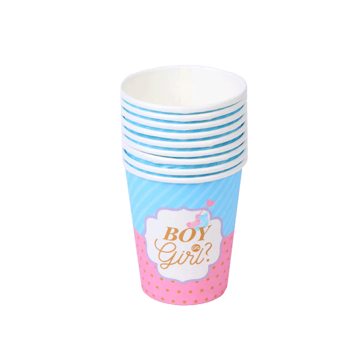 Bekers Gender Reveal - 8st