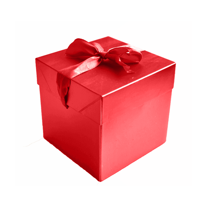 Kartonnen Cadeaudoos Rood