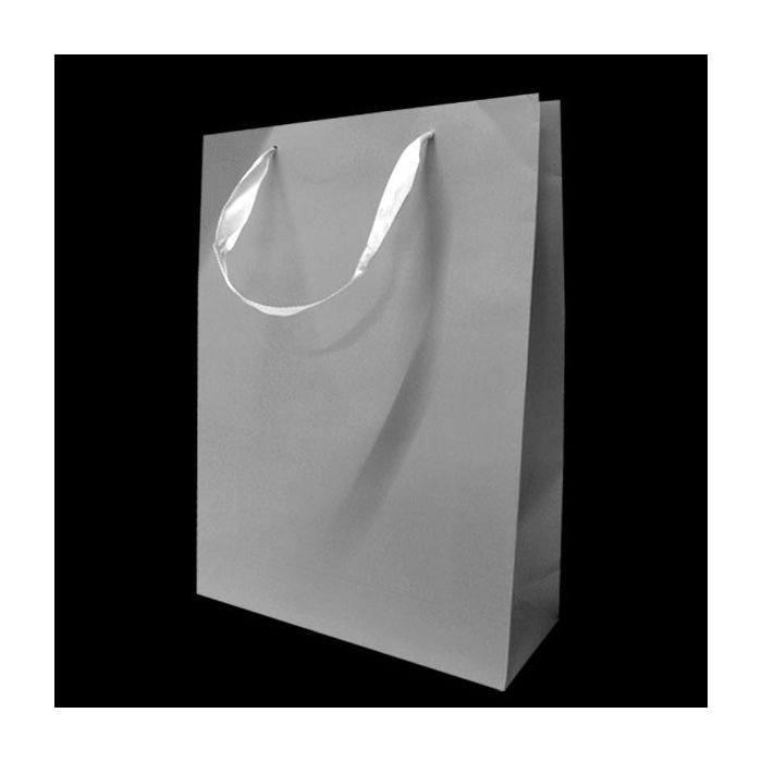 Kartonnen Cadeautas L Grijs