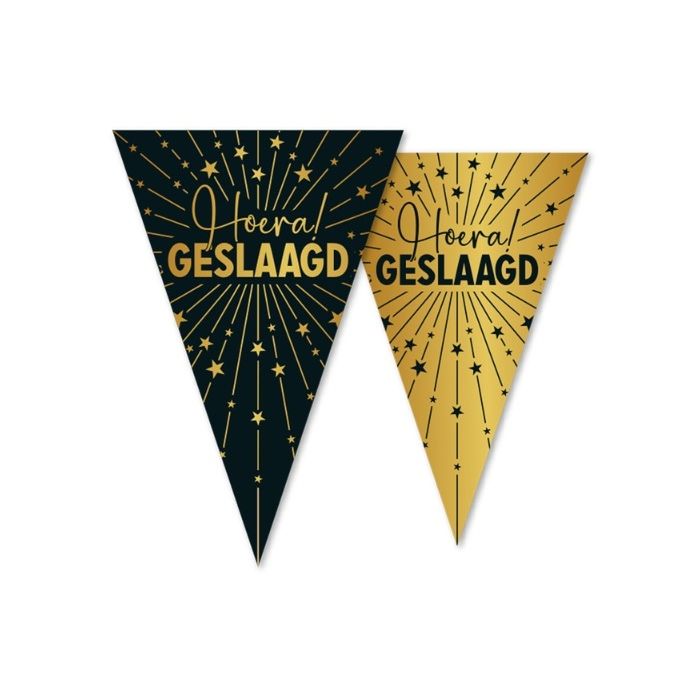 Vlaggenlijn Hoera Geslaagd!