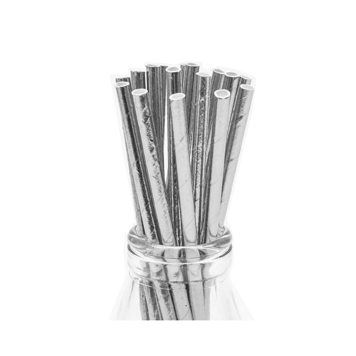 Papieren Rietjes Zilver