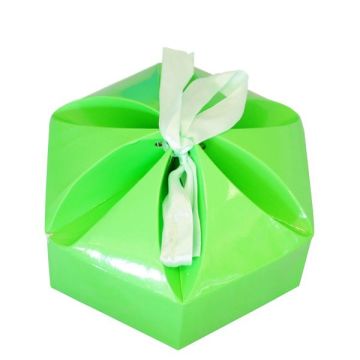 Vouwdoos Fluorine Groen