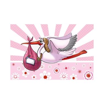 Raamvlag Geboorte Meisje