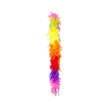 Boa Regenboog