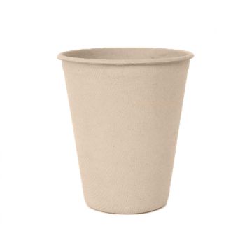 Bekers Suikerriet Bagasse 250ml 