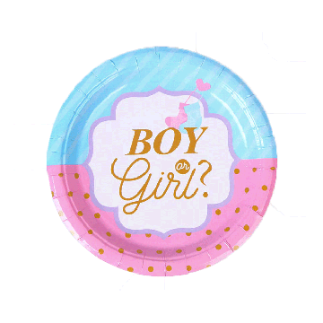 Bordjes Gender Reveal 