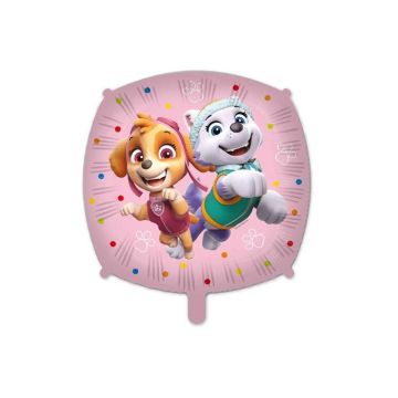 Folieballon Skye & Everest