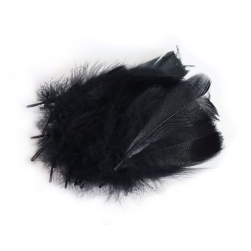 Decoratie Veren Zwart (±50st)