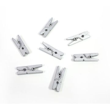 Mini Knijpertjes Zilver (24st)