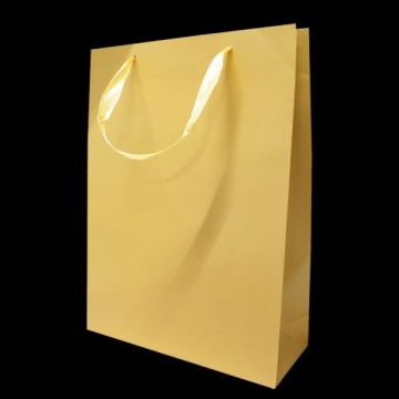 Kartonnen Cadeautas L Goud