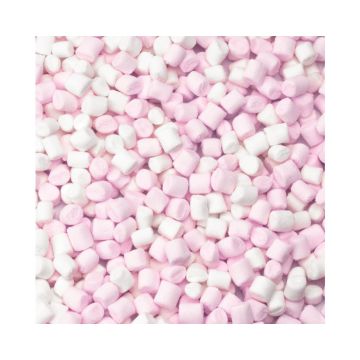 Mini Marshmallow Roze/Wit (1kg)