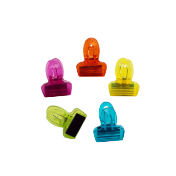 Memoclip met magneet (5st) 