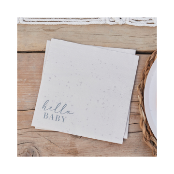 Servetten Hello Baby Ginger Ray (16st) 