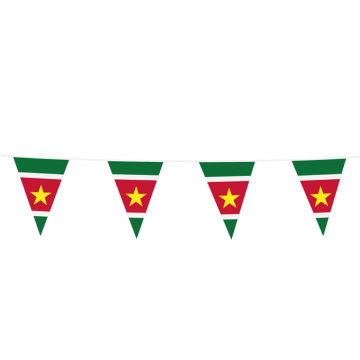 Vlaggenlijn Suriname (10m)