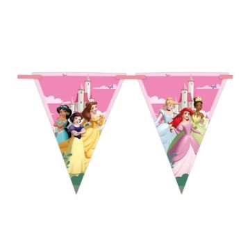 Papieren vlaggenlijn Disney Princess - 2,3m 