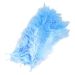 Decoratie Veren Blauw ± 50st