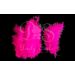 Decoratie Veren Fuchsia ± 50st