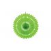 Deco Waaier XL Groen 2st