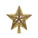 Kerstboompiek Ster Goud