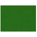 Crêpepapier Donkergroen - 50x250cm