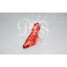 Acryllen Pumps Rood