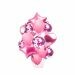 Ballonnentros set in het roze