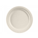 Bordjes Suikerriet Bagasse 18cm