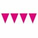 Vlaggenlijn Fuchsia