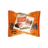 Mini Bars Peanuts Fundiez (190gr)