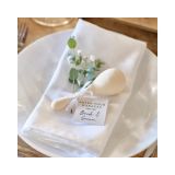 Houten Sambaballen Rustic Romance Ginger Ray (5st) 