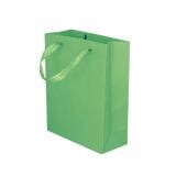 Kartonnen Cadeautas M Groen (12st)
