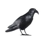 Duivenverjager Kraai 