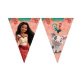 Papieren Vlaggenlijn Vaiana
Vaiana Thema Vlaggen