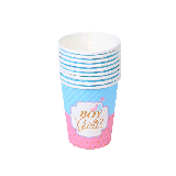 Bekers Gender Reveal - 8st