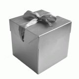 Cadeaudoos Zilver (10x10x10cm)