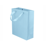 Kartonnen Cadeautas M Lichtblauw (12st)