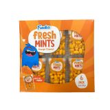 Fundiez Fresh Mints Orange (6x15gr) 