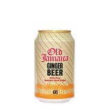 Ginger Beer Soda