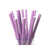 Papieren Rietjes Paars (12st)