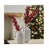 Kerstdecoratie rode bessen