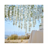 Backdrop Papieren Eucalyptus Sage Ginger Ray
